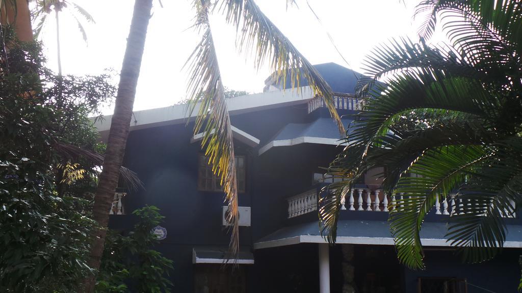 קלנגוטה Alina Guest House מראה חיצוני תמונה